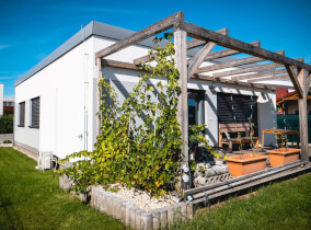 drevodom Jubileum Profi 81