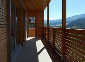 drevodom Jubileum Profi 87