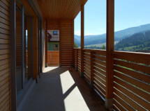 drevodom Jubileum Profi 87