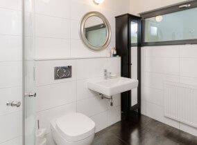 drevodom Perseus 119