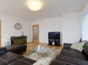 drevodom Perseus 119